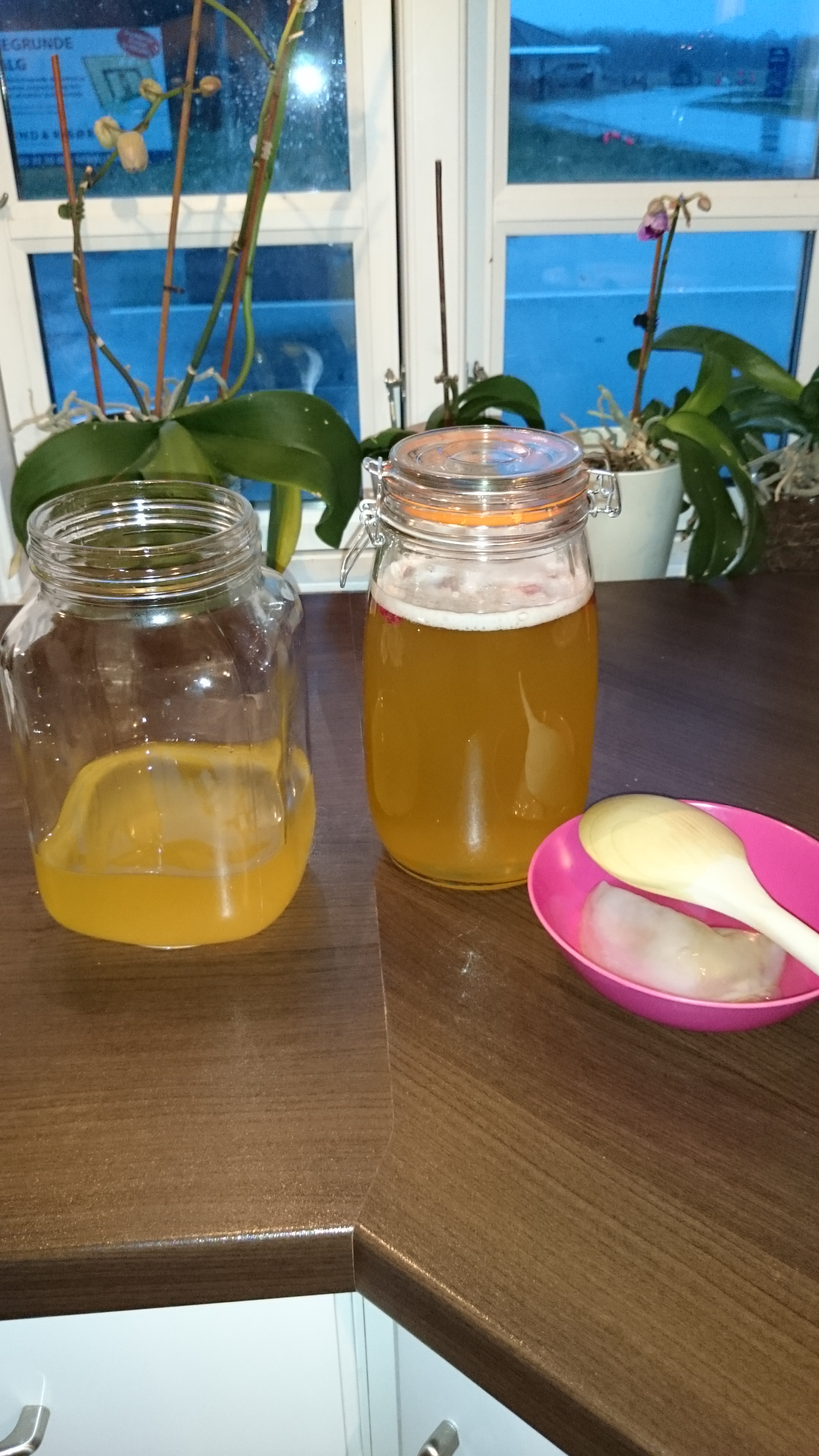 Kombucha klar til 2. fermentering